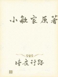 小敏家原著小说