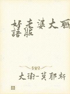 好老婆大联盟国语版