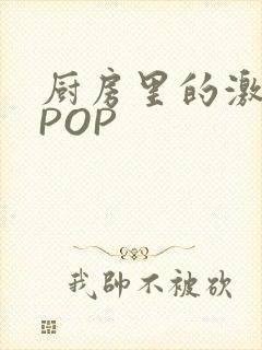 厨房里的激战2POP