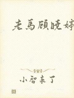 老马顾晓婷小说