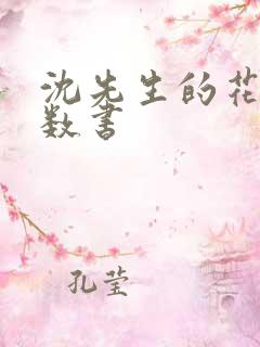 沈先生的花式调数书