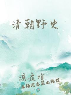 清朝野史