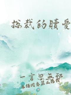 总裁的赎爱宝贝