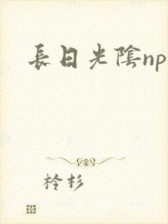 长日光阴np