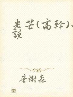 光芒(高干)小说