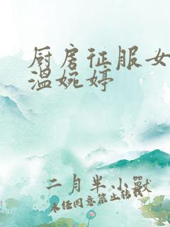 厨房征服女市长温婉婷