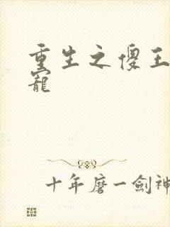 重生之傻王心尖宠