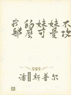 我的妹妹不可能那么可爱攻略