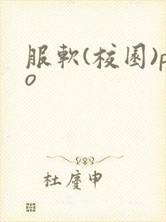 服软(校园)po