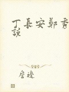 丁长安郑秀兰小说