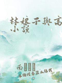 林娘子与高衙内小说