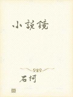 小说镜
