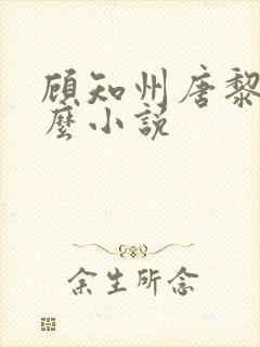 顾知州唐黎叫什么小说