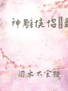神雕侠侣婬乱版