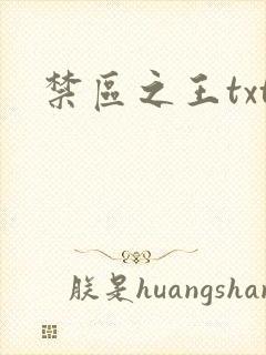 禁区之王txt