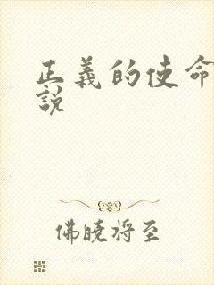 正义的使命 小说