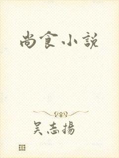 尚食小说