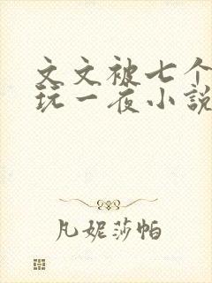 文文被七个男人玩一夜小说