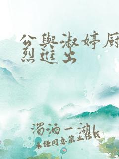 公与淑婷厨房猛烈进出