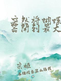 突然将蝴蝶遥控器开到最大