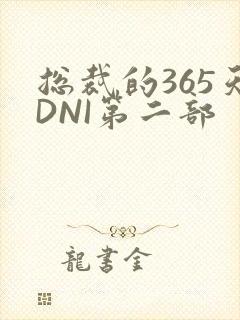 总裁的365天DNI第二部