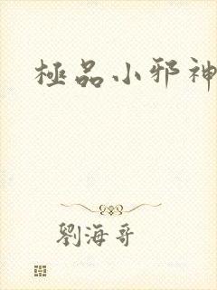 极品小邪神