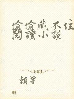 偷偷藏不住免费阅读小说