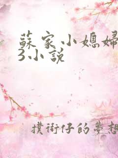 苏家小媳妇1V3小说