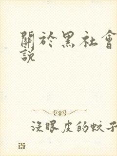 关于黑社会的小说