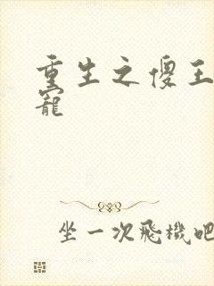 重生之傻王心尖宠