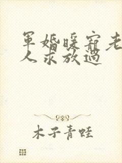 军婚暖宠老公大人求放过