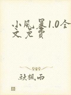 小风暴1.0全文免费