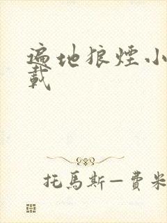 遍地狼烟小说下载