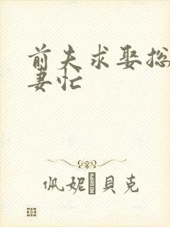 前夫求娶总裁追妻忙