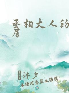 丞相大人的小通房