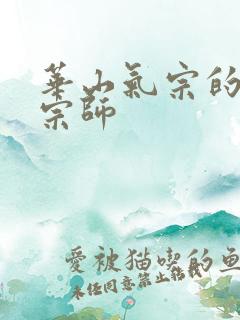 华山气宗的形意宗师