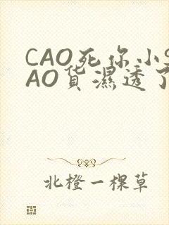 CAO死你小SAO货湿透了学长