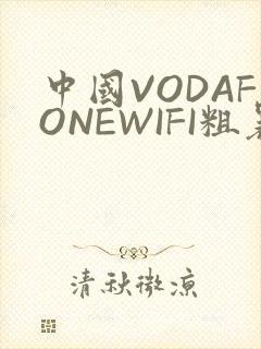 中国VODAFONEWIFI粗暴APP