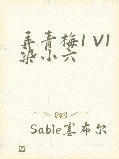 弄青梅1 V1染小六
