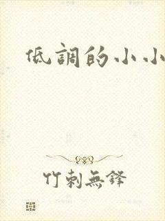 低调的小小宫女