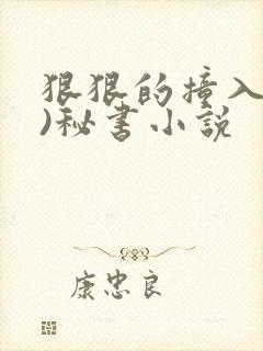 狠狠的撞入(h)秘书小说