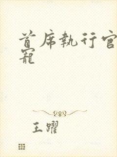 首席执行官的绝宠