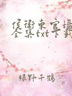 侯卫东官场笔记全集txt下载