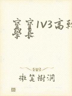 宝宝1V3高干学长