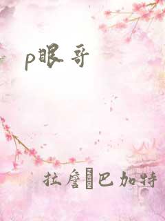 p眼哥