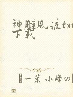 神雕风流txt下载