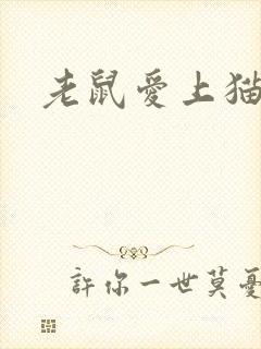 老鼠爱上猫下载