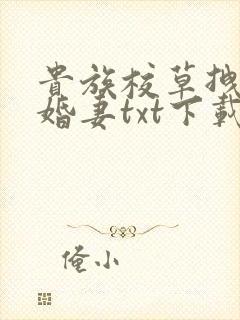 贵族校草拽拽未婚妻txt下载