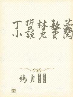 丁哲林敖蕾主角小说免费阅读笔趣