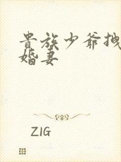 贵族少爷拽拽未婚妻